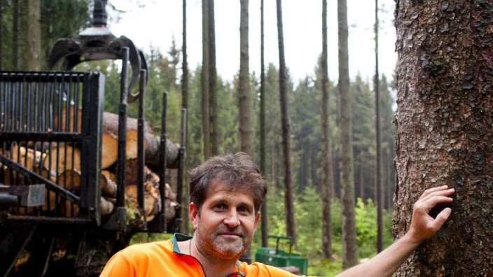 Zorneding: Bei seiner Arbeit im Wald ist Andreas Eder einem Wolf begegnet, davon ist er überzeugt.