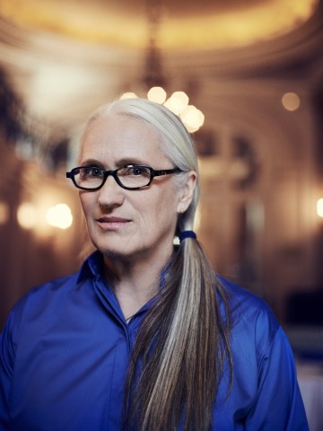 Jane Campion, Self Assignment, May 2014