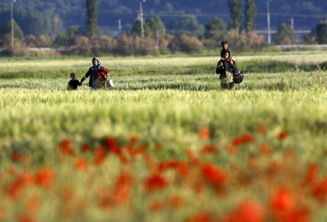 Afghan immigrant carries his son, followed by his wife and another of their children as they walk through a field close to the Greek-Macedonian border in an attempt to flee to Macedonia