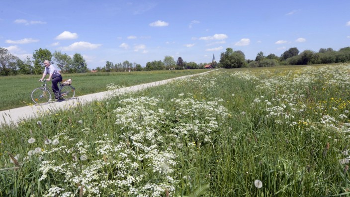 Hachinger Tal: Das Hachinger Tal ist ein beliebtes Naherholungsgebiet. Um es zu erhalten, hat der Landkreis voriges Jahr eine Schutzverordnung erlassen.