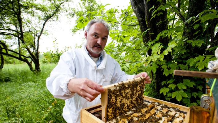 Kampf gegen Bienen-Parasiten: Imker Claus Mayr hat im vergangenen Jahr acht seiner 13 Völker verloren. Die übrigen will er mit Hilfe der Bienensauna retten.