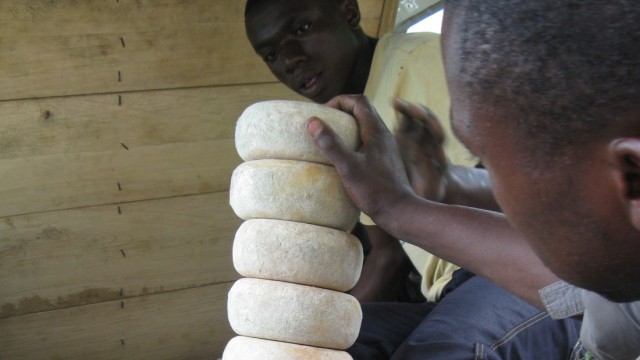 Zentralafrika: 28 Menschen arbeiten auf der Käsefarm, sie haben gelernt, wie man Gouda macht, den Betrieb sauber hält.