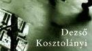 Buch: Dezsö Kosztolányi: undefined