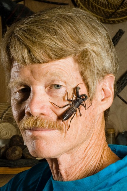 Insektenkundler: Justin Orvel Schmidt, 67, hat einen eigenen Schmerz-Index entwickelt. Er sagt, er habe "den besten Job der Welt".