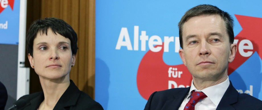 16 02 2015 Berlin Deutschland Pressekonferenz der Partei Alternative für Deutschland AfD zu de