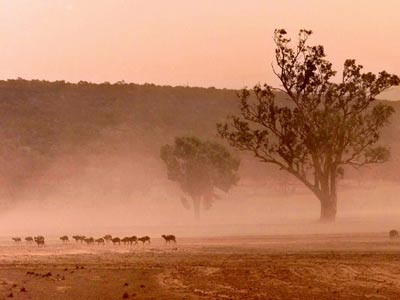Australien: Sandsturm im Outback, AP