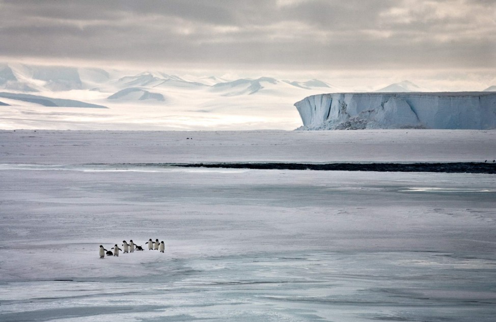 Eisberge von Reisefotografin Camille Seaman, Arktis, Antarktis, Erderwärmung