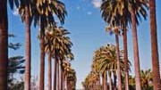 Erinnerungen an die erste Reise: Beverly Hills, Pixelquelle