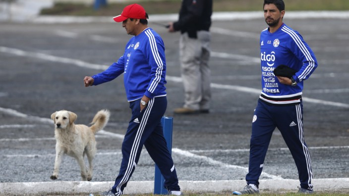 Paraguay's head coach Ramon Diaz and his son and assistant coach Emiliano  arrive to a training session at El Romeral sports center in La Serena