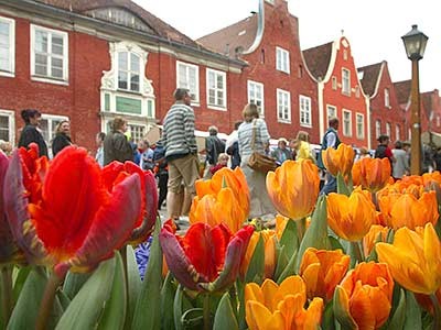 Tulpenfest im Holländischen Viertel, ddp