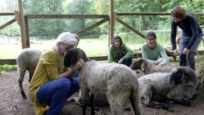 Stresstherapie: Kuscheln mit Schafen, das kann sehr entspannend sein und volle Terminkalender völlig vergessen lassen. Ina Kirchhoff (links) macht es vor.