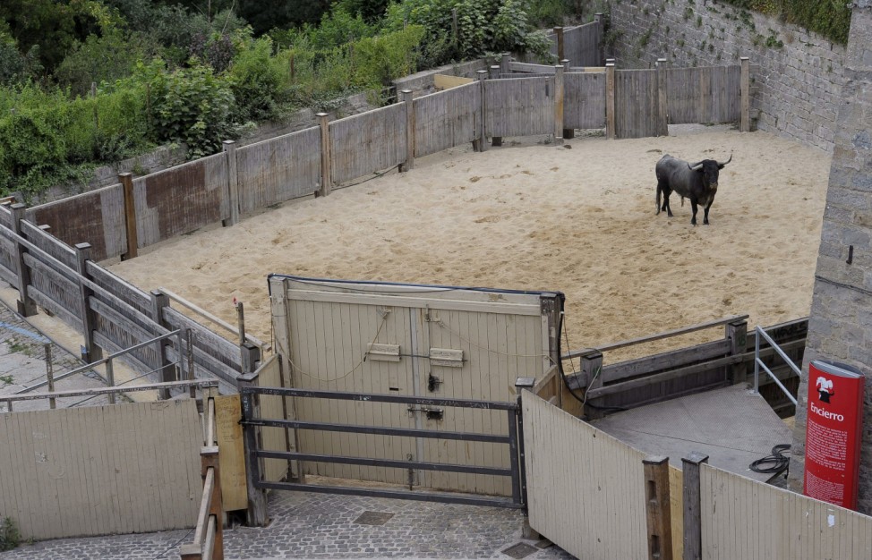 5th bullrun of Sanfermines in Pamplona