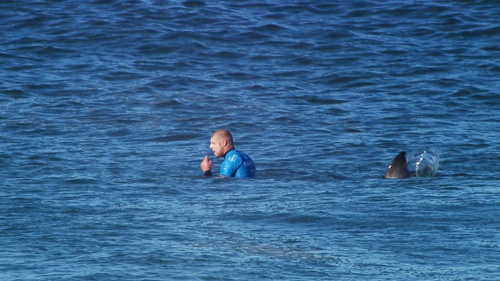 Mick Fanning of Australia is seen shortly before being attacked by a shark during the finals of the J-Bay Open in Jeffrey's Bay
