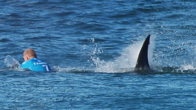 Surfer Sebastian Steudtner: Mick Flanning wird von einem Hai attackiert.