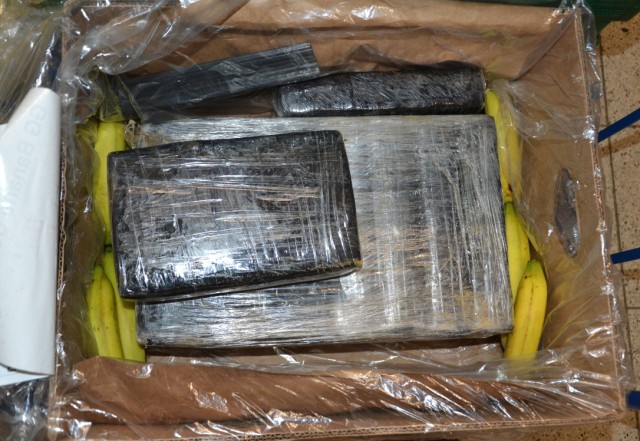Hunderte Kilogramm Kokain unter Bananen gefunden