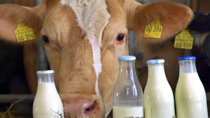 EU-Milchquotenregelung