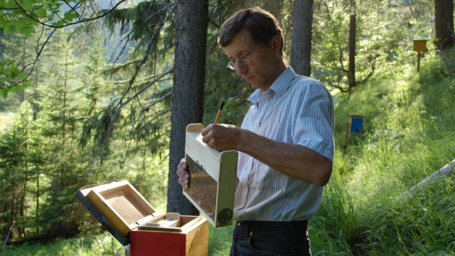 Bienenzucht: Markus Gulde prüft Begattungskästchen auf der Belegstelle Pfaffenkopf
