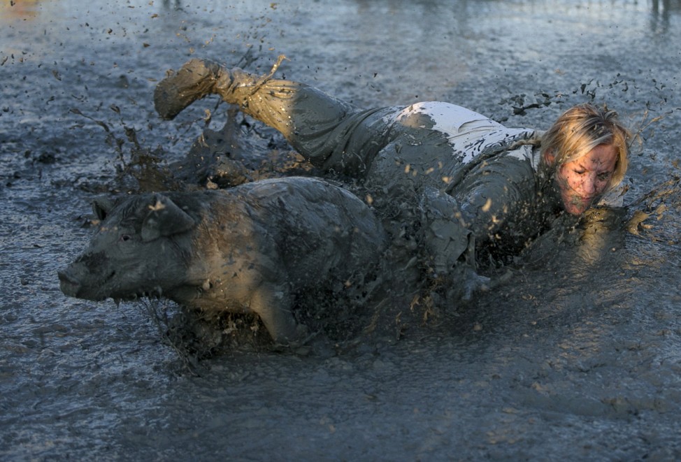 A participant dives for a pig in the 'greased pig contest' at the Festival du Cochon (Pig Festival) in Sainte-Perpetue