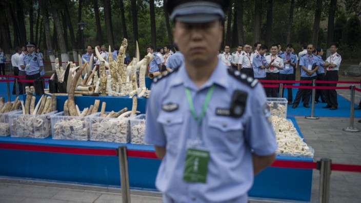 Handelspolitik: Ein Polizist bewacht in Peking beschlagnahmtes Elfenbein, bevor dieses zerstört wird.