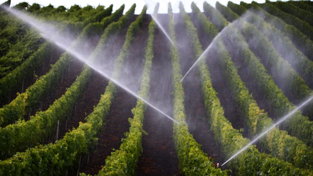 Künstliche Bewässerung in Weinbergen