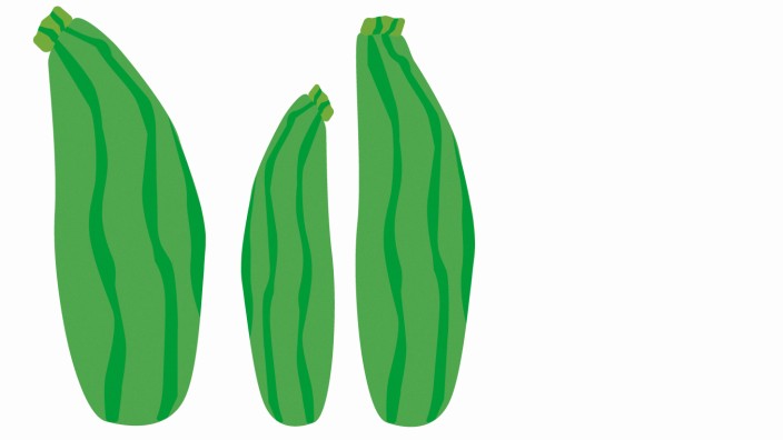 Giftige Bitterstoffe in Gemüse: Zucchini können gefährliche Bitterstoffe enthalten.