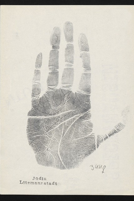 Uni unterm Hakenkreuz: Hunderte Handabdrücke verglich der Tübinger Anthropologe Hans Fleischhacker in seiner Habilitationsschrift von 1943 - er wollte Rassenunterschiede aufzeigen.