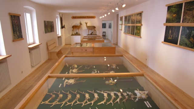 Bayerns Museen: Herzog Albrecht hat Objekte gesammelt und in Serie ausgestellt.