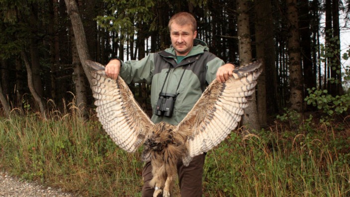Landshut: Der Vogelschutzbund LBV veröffentlichte dieses Foto des getöteten Uhus.