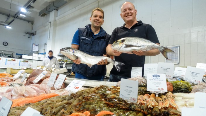 Tipps für Feinschmecker: Edle Fische sind im Frische-Paradies von Marco Raase (links) zu kaufen. Gabriel Arendt fertigt daraus mit Kursteilnehmern ein Menu.