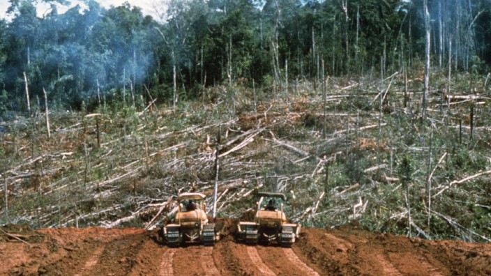 Weltnaturkonferenz: All die Initiativen für den Schutz des Regenwaldes haben offensichtlich noch nicht viel geholfen: Wie hier in Ecuador werden immer noch enorm große Flächen gerodet.