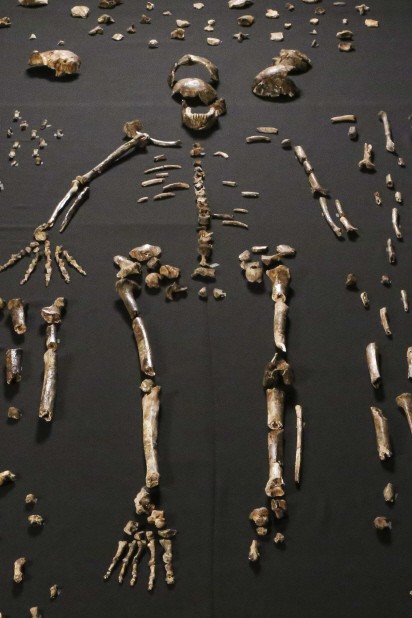 Homo naledi: Die Wissenschaftler vermuten, Homo naledi könnte seine Toten in der Höhle bestattet haben - daher seien so viele Knochen auf einmal gefunden worden.