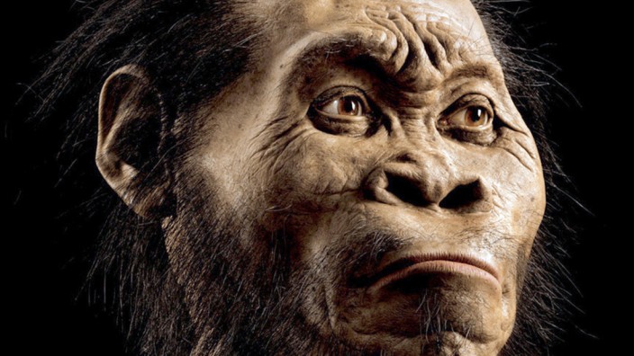 Homo naledi ist ein neuer Verwandter des modernen Menschen