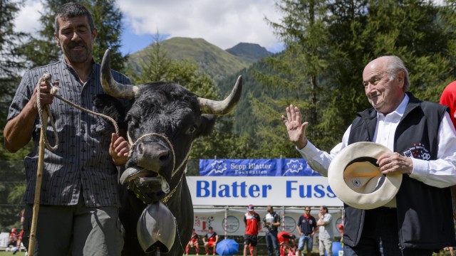 Fifa: Ablenkung: Im August bekam Fifa-Chef Sepp Blatter in seiner Schweizer Heimatgemeinde Ulrichen eine Kuh namens "Colombo" geschenkt.