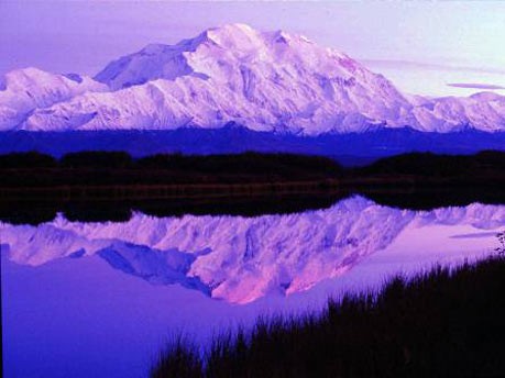 Denali National Park in Alaska: Auf den Spuren von "Into the Wild", AP