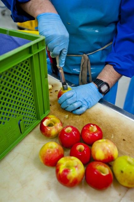 Besuch: Die Äpfel werden im Ammerzelt verspeist.