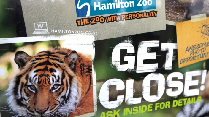 Nach tödlicher Attacke auf Tierpflegerin: "Komm nah": So wirbt der Hamilton Zoo in Neuseeland für seine Tiger. Am Sonntag hat eine der Großkatzen eine Wärterin getötet.