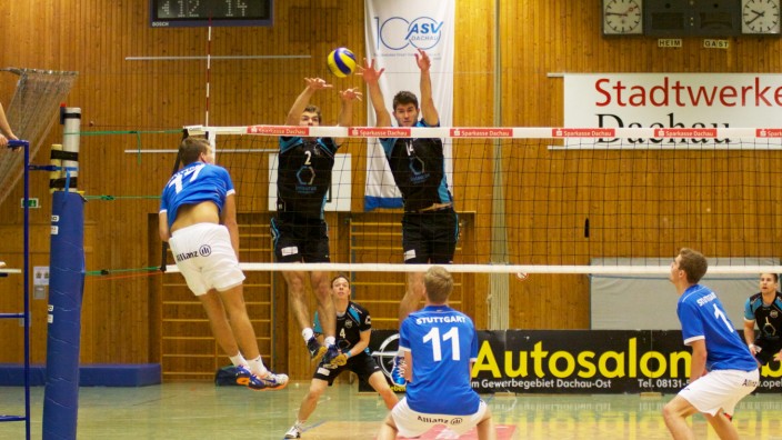 Dachauer Volleyballer: Foto: oh