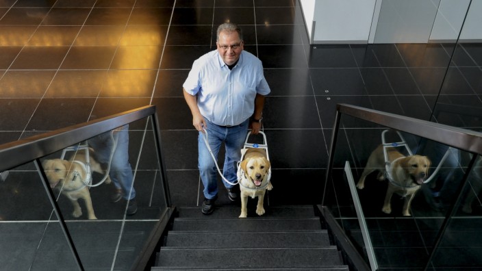 Verein Deutsche Blindenführhundhilfe: Die Höhe von Bordsteinkanten und Stufen einschätzen - ein guter Blindenhund kann das alles. Er ist Beschützer und Freund zugleich.