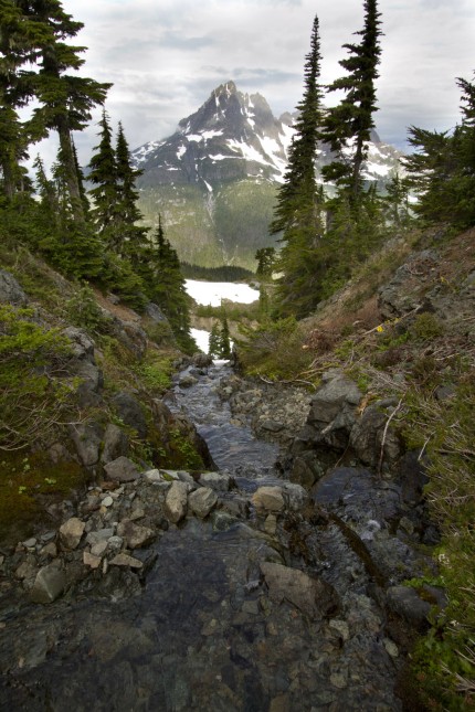 Strathcona Provincial Park Vancouver Island BC Canada PUBLICATIONxINxGERxSUIxAUTxHUNxONLY acp5591