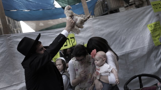 Israel: Ein Huhn, das die Sünde auf sich nimmt: Bei der Kapparot-Zeremonie vor Jom Kippur bereuen die Frommen. Das Tier wird geschlachtet, sein Fleisch verschenkt.