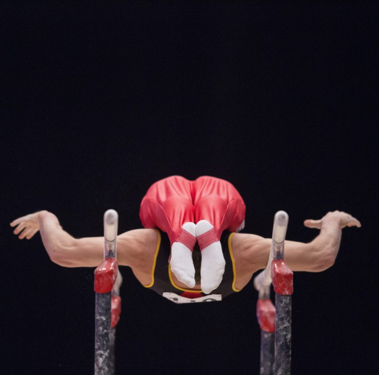 2015 World Artistic Gymnastics Championships