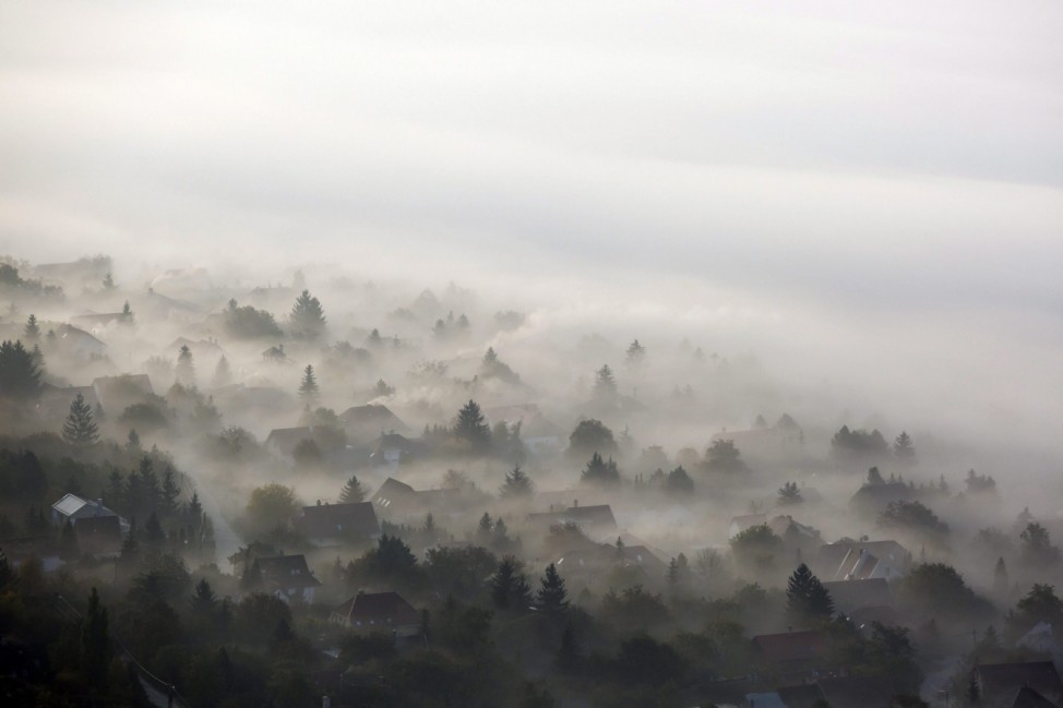 Morning mist in Hungary