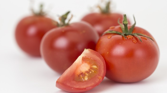 Essen aus dem Labor: Ein Eingriff ins Erbgut bewirkt, dass diese Tomaten massenhaft Resveratrol und Genistein bilden.