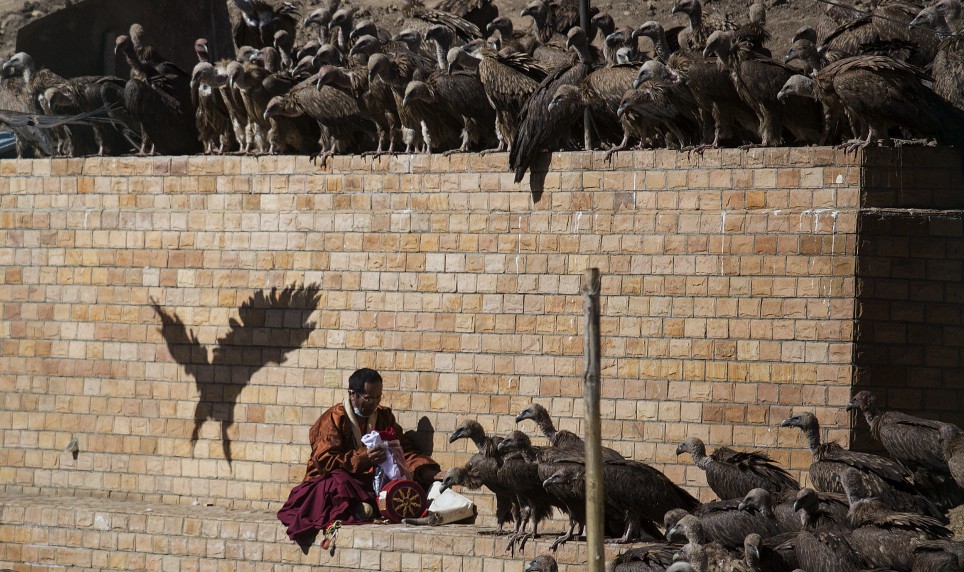 A Buddhist monk collects his belongings as vultures gather around a body of a deceased person during a sky burial near the Larung valley located some 3700 to 4000 metres above the sea level in Sertar county, Garze Tibetan Autonomous Prefecture, Sichuan