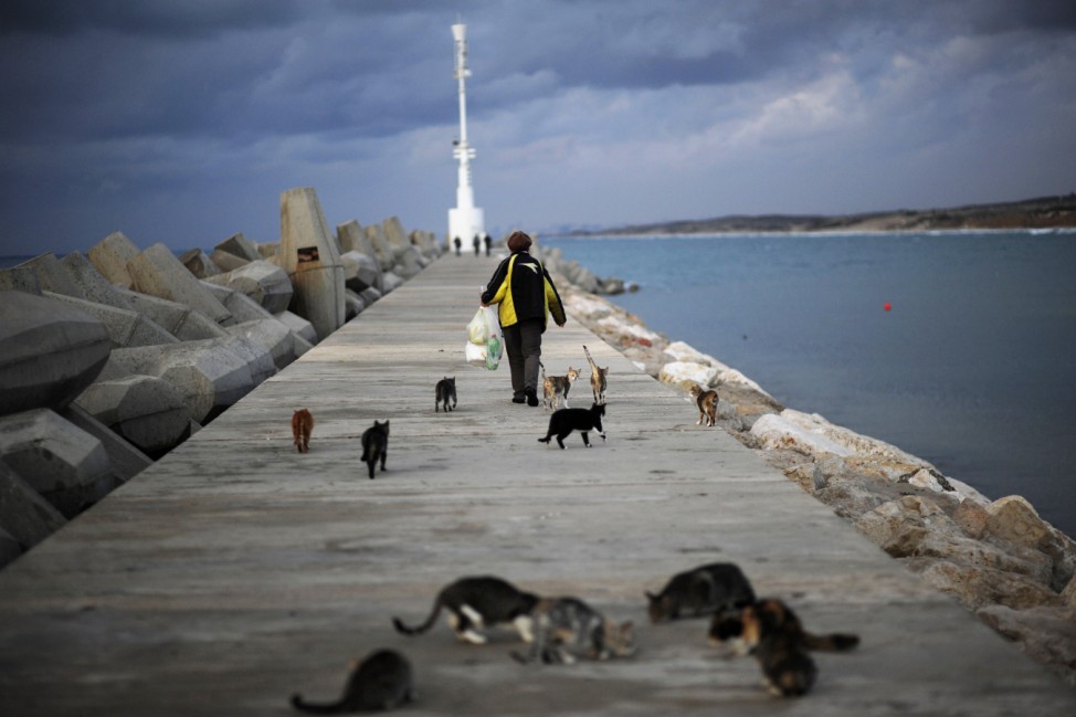 A Jewish immigrant from Russia walks at the marina after feeding cats in the southern city of Ashkelon