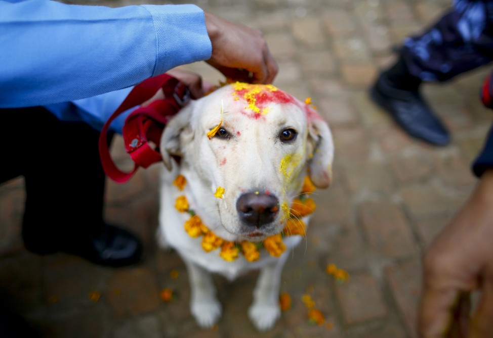 Dog worship day in Nepal