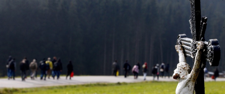 Migrants cross a field as they walk from the Austrian village Kollerschlag towards Austrian-German border in Wegscheid