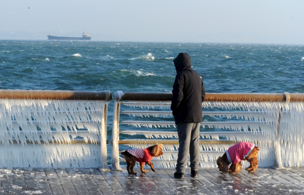 A man stops to look at a frozen handrail as he walks his dogs along the coastline, in Dalian