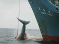 Japanischer Walfänger