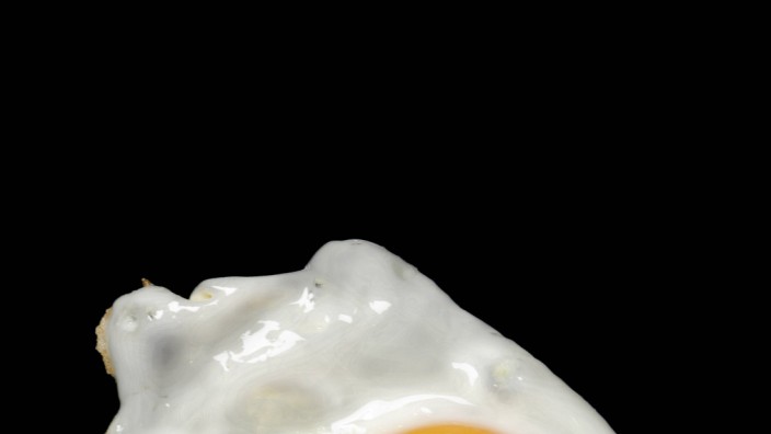 Gutachten zu Bayern-Ei: Eier sind hygienisch höchst sensible Lebensmittel, auch das Anbraten schützt nur bedingt.
